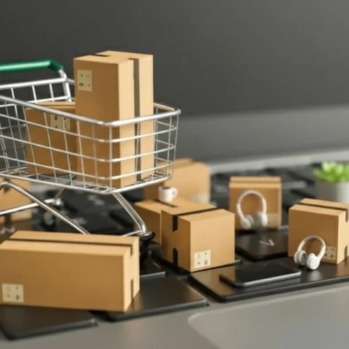 Ecommerce SEO Case Study