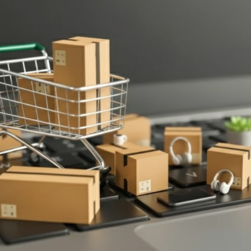 Ecommerce SEO Case Study